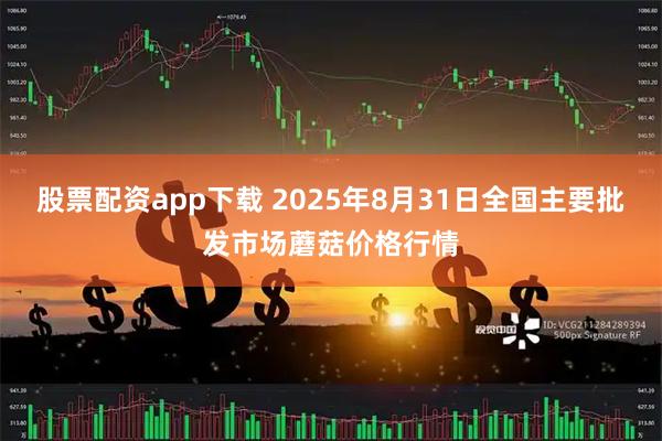 股票配资app下载 2025年8月31日全国主要批发市场蘑菇价格行情