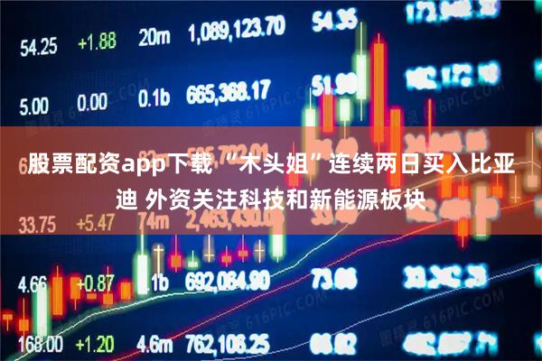 股票配资app下载 “木头姐”连续两日买入比亚迪 外资关注科技和新能源板块