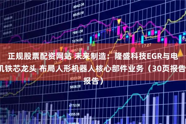 正规股票配资网站 未来制造：隆盛科技EGR与电机铁芯龙头 布局人形机器人核心部件业务（30页报告）