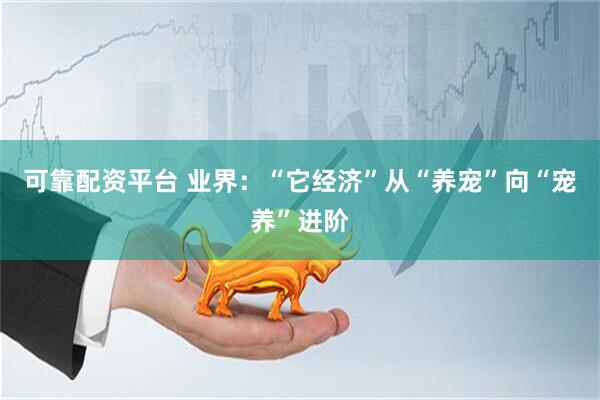 可靠配资平台 业界：“它经济”从“养宠”向“宠养”进阶